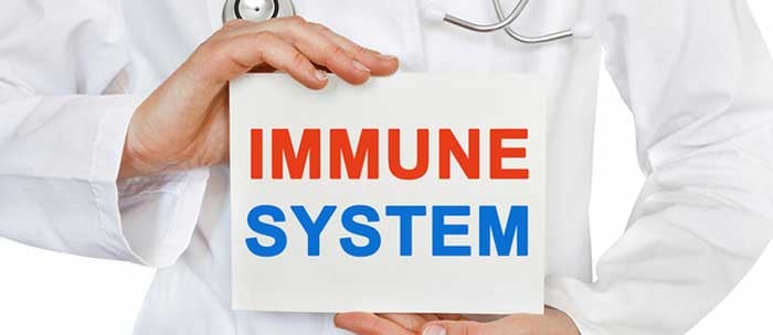 Immune system